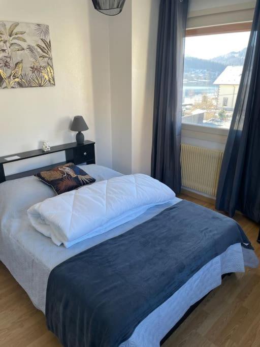 Entre Lac Et Montagne 4/6 Personnes Gerardmer Ngoại thất bức ảnh